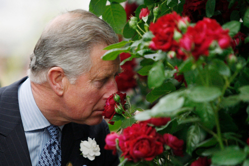 First gin, now Prince Charles is launching a Highgrove-scented perfume