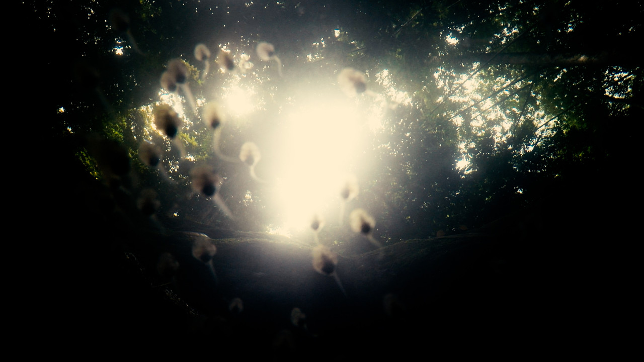 Linus Chung, 'Wondering if there was one' (video). – The Japan Foundation pic