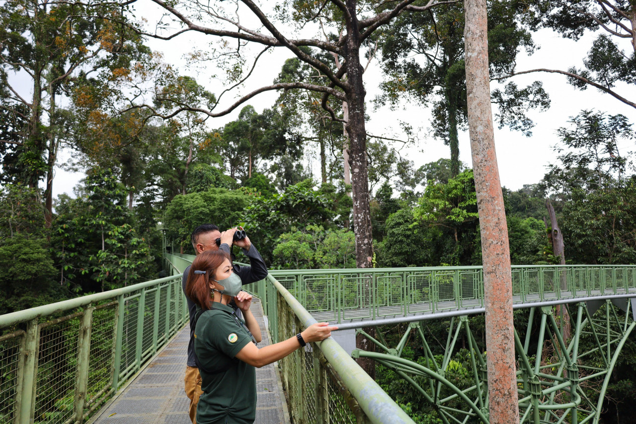RDC is known as a haven for birders as the skywalk provides a taller platform, elevating bird watchers and taking them closer to the birds. – Ahmad Jimmy pic