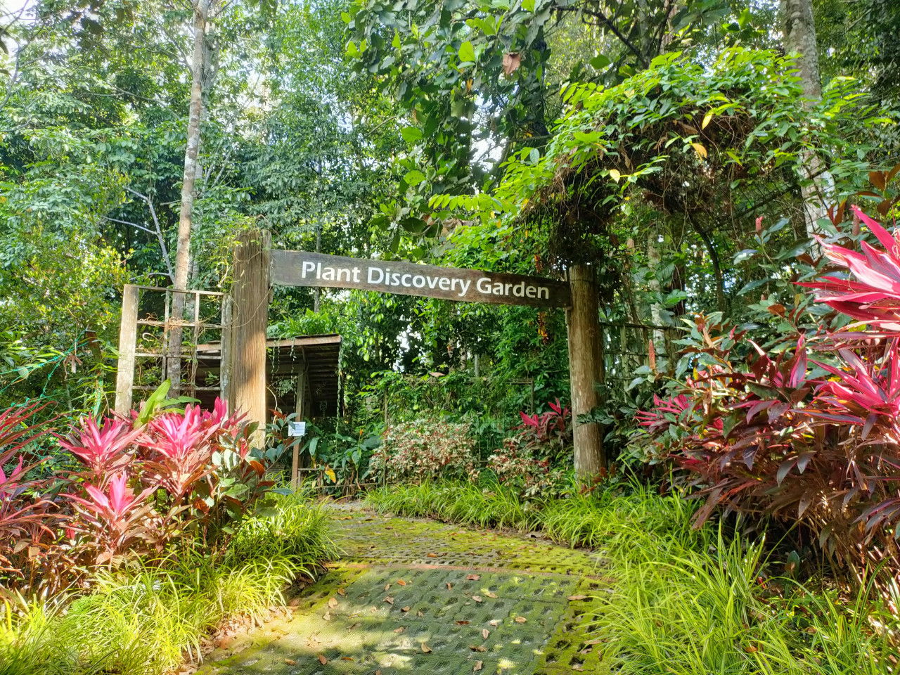 The Plant Discovery Centre is a must-visit for plant lovers. – Rebecca Chong pic 