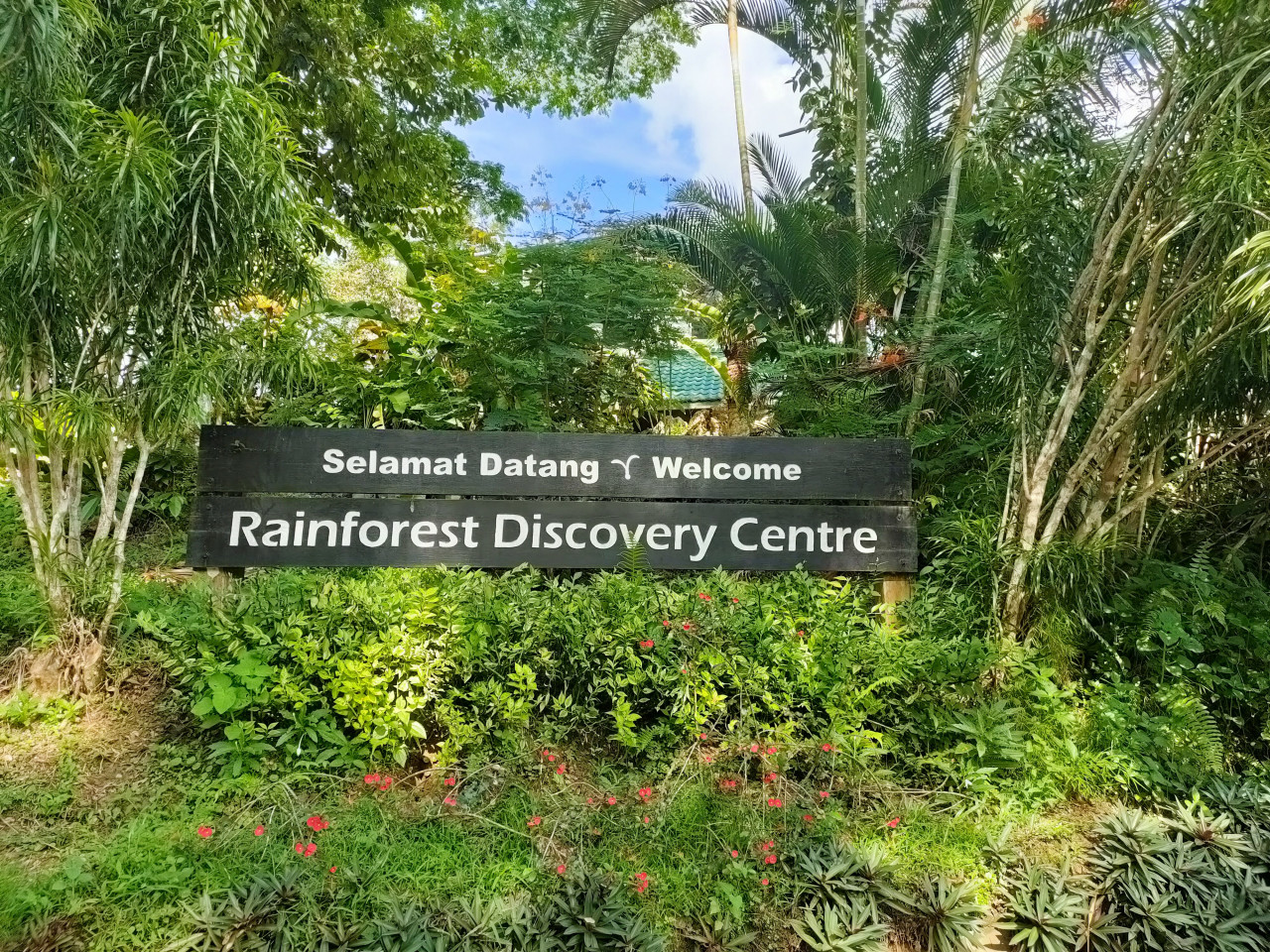 The Rainforest Discovery Centre is located within the Kabili-Sepilok Forest Reserve. – Rebecca Chong pic