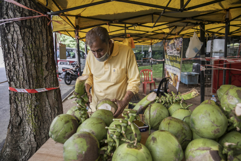 Mistaken for homeless, Che Mat now masters farming skills
