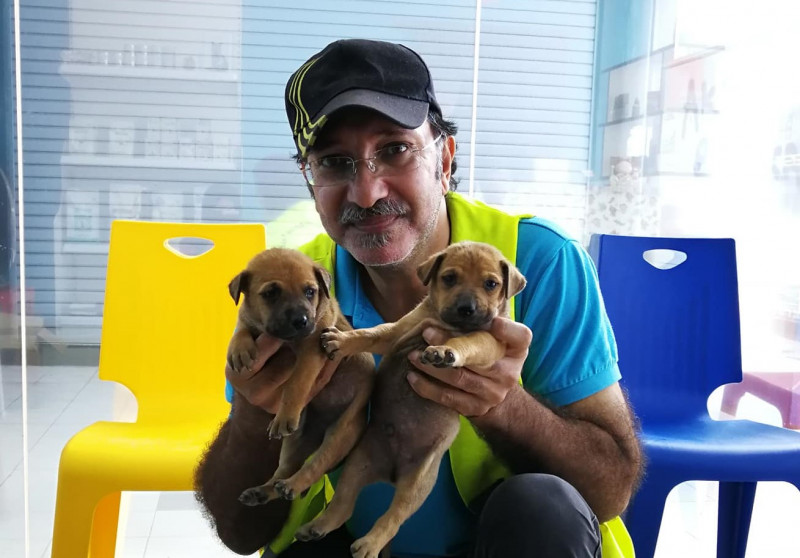 Have a Heart: doc on a mission to dispel fear, instil love for animals