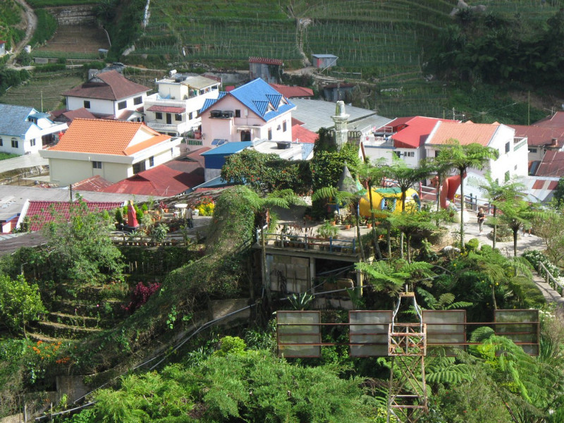 Urban farming taking root in Malaysia 