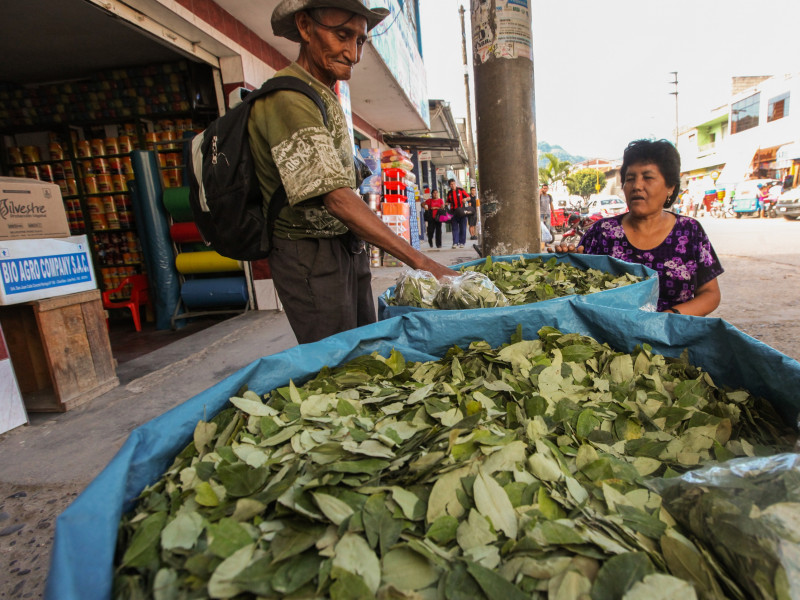 ‘Coca’ pits indigenous Colombians against soft drink giant