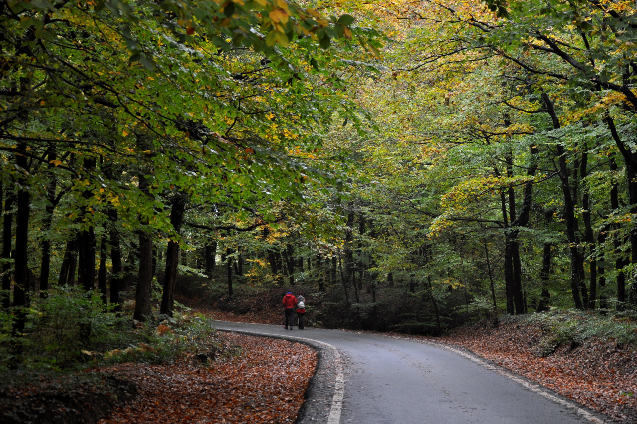 – Pic courtesy of Türkiye Tourism Promotion and Development Agency