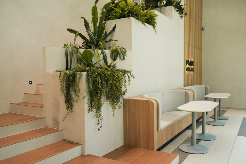 This cafe space is designed to help calm your anxiety
