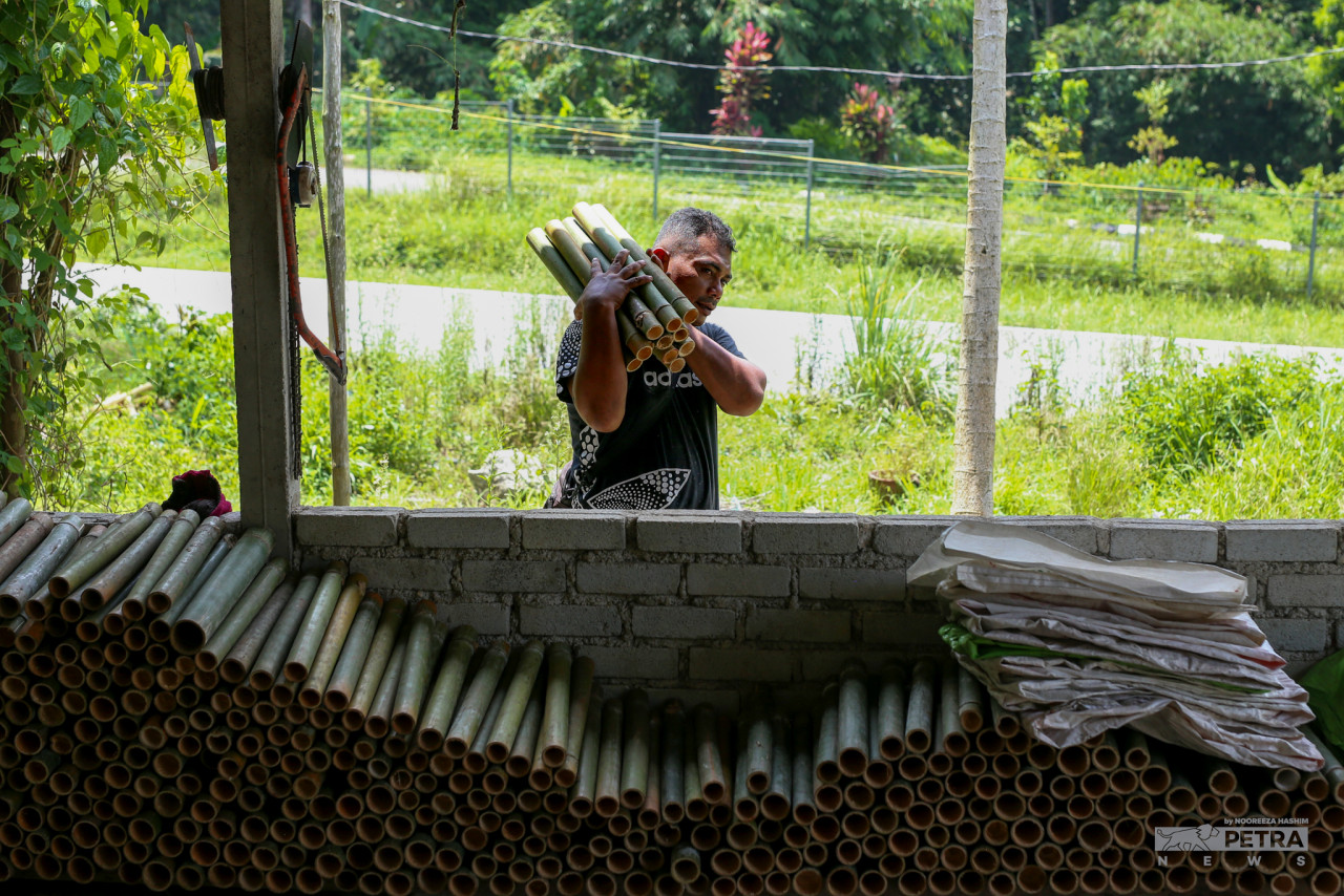 All lemang bamboos that have been cut will be brought to the collection centre at Kg Orang Asli Ulu Batu, Ulu Yam. – NOOREEZA HASHIM/The Vibes pic, May 9, 2022