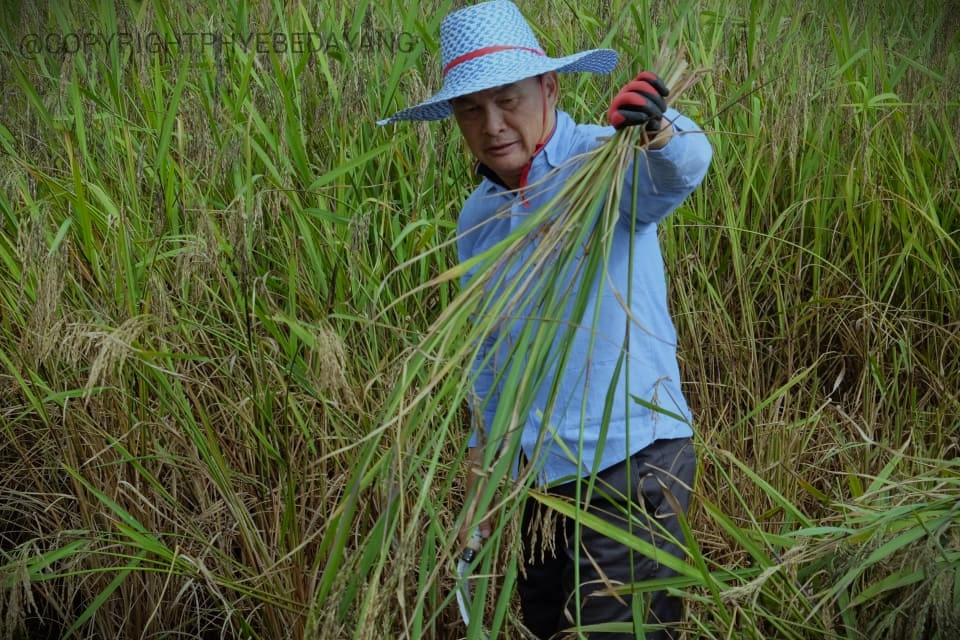 Baru spoke of the importance of Gawai in highlighting the role farmers played to provide food for the nation. – Pic courtesy of Baru Bian