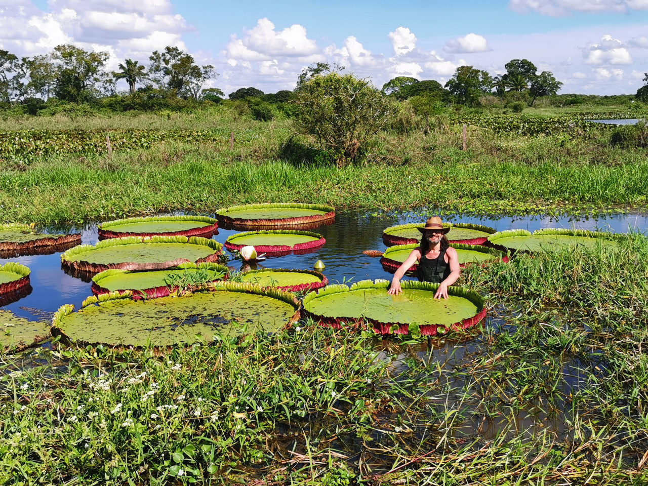 Carlos Magdalena in Bolivia with Victoria boliviana in the wild. – Pic courtesy of Cesar David Salazar