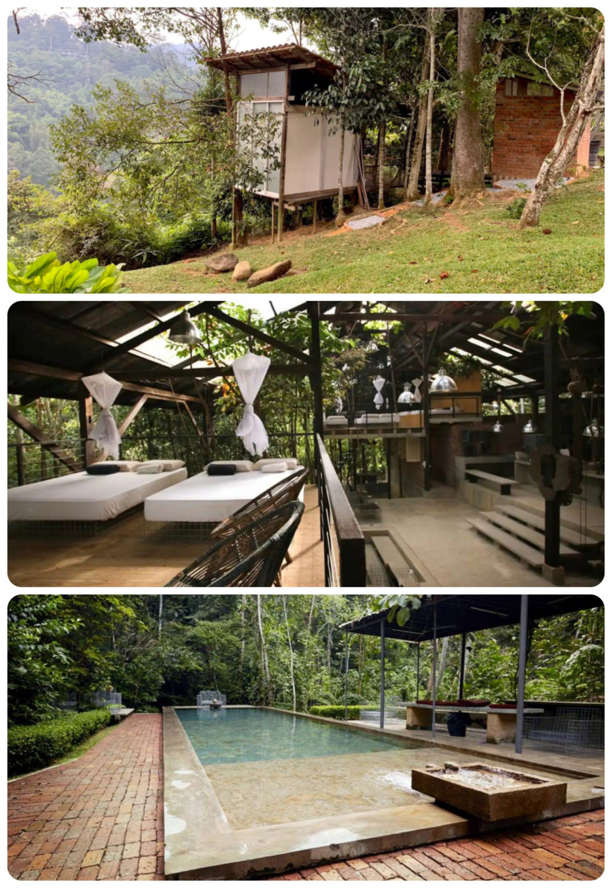 (Top) Plateau farm sustainable treehouse camp, Janda Baik. (Middle, bottom) Aesthetic glasshouse, warehouse 1, unique private forest retreat. – Pic courtesy of Airbnb
