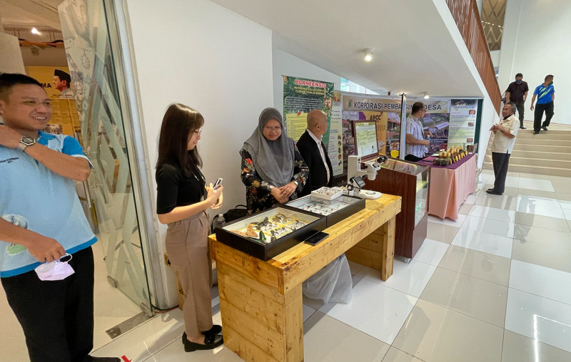 Take a closer look at insects at Kudat’s Tun Mustapha Museum
