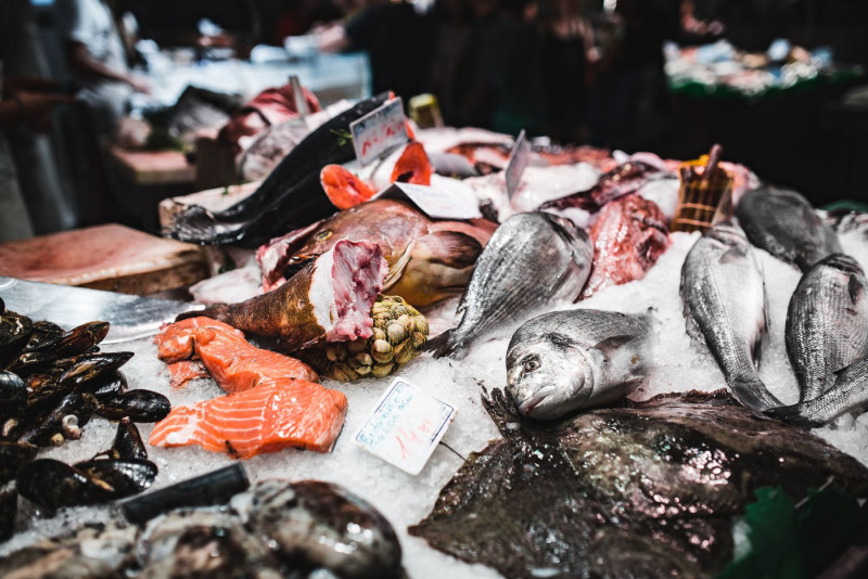Scientists want to turn fish fins into sashimi
