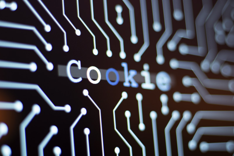 Are cookies a friend or a foe for Internet users?