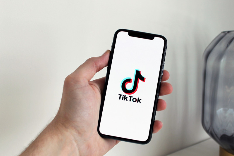 TikTok, a supplement for school subjects