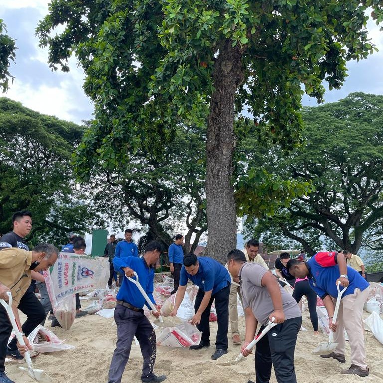 Volunteers save trees on Batu Ferringhi beachfront