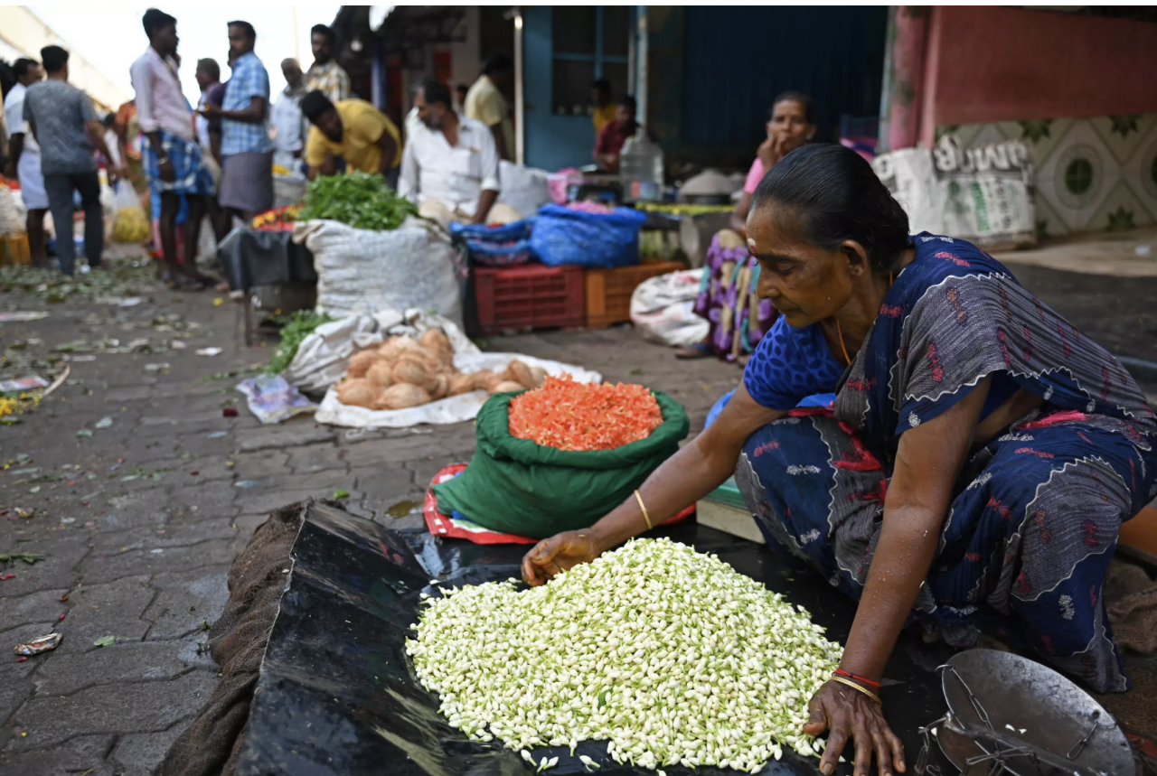 The jasmine of Madurai was given a ‘geographical indication’ tag from the World Intellectual Property Organisation in 2013, which noted its ‘deep fragrance’. – AFP pic