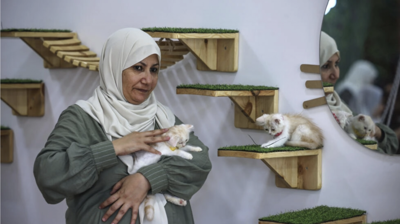 Meow Cafe owner Nehma Maabad says, ‘Cats, for me, are a refuge that relieves me of psychological stress’. – AFP pic