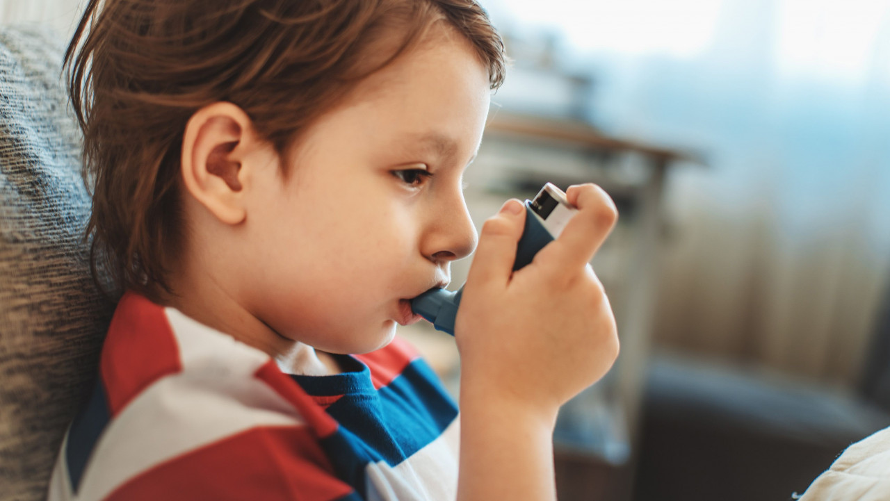 Children face a higher risk of developing conditions such as asthma and bronchitis from exposure to environmental pollutants. – ETX Daily Up pic