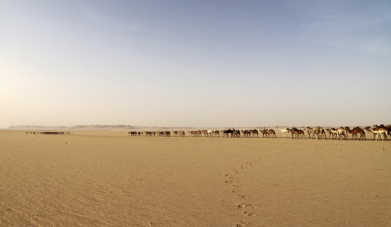 Out of this world deep in the Algerian desert