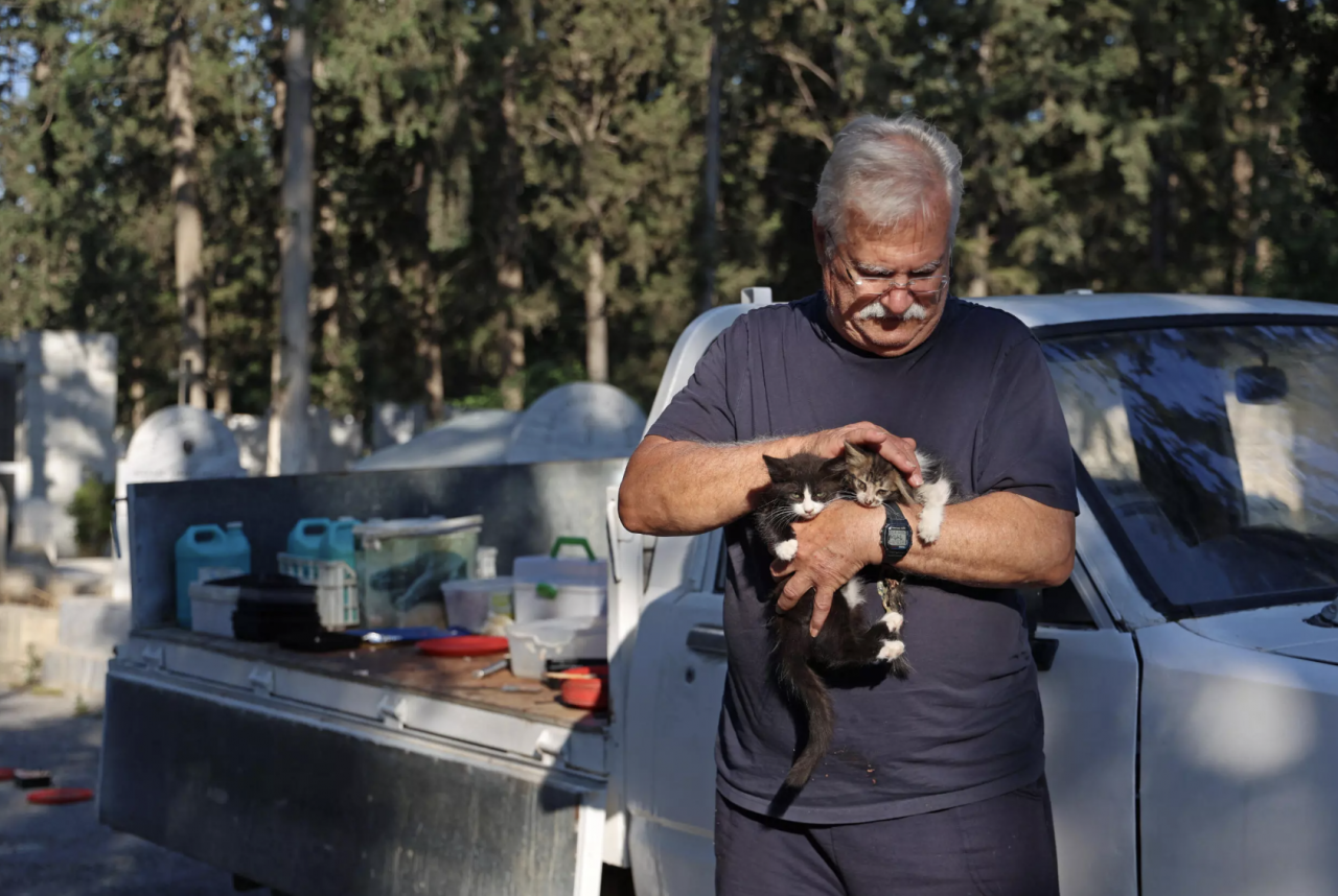 Dinos Agiomamitis feeding stray cats at a cemetery in Nicosia, as he has been doing every morning for the past 25 years. – AFP pic