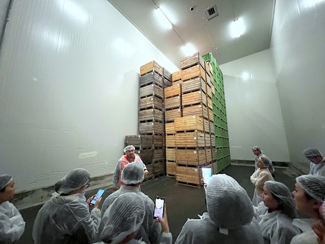 Polish apples being stored in the coldroom. – Shazmin Shamsuddin pic
