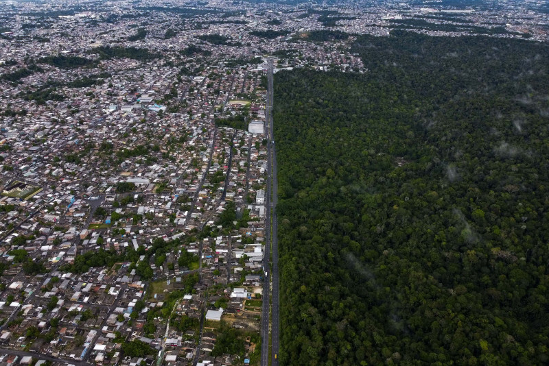 Football pitch of tropical forest lost every 5 seconds
