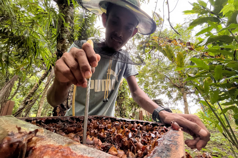 Part-time beekeeping proves rewarding for vegetable seller