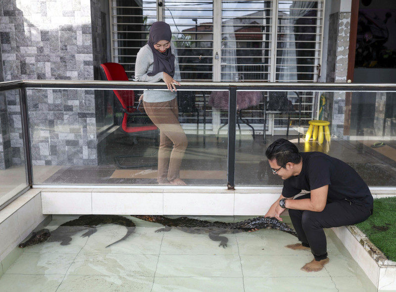 Our very own Crocodile Dundee