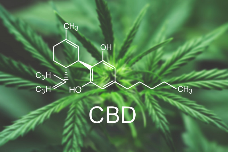 Cannabis compound CBD found in common Brazilian shrub