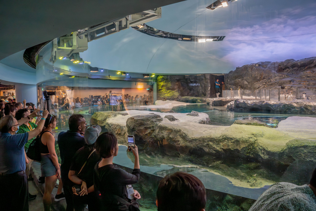 Guests who attended an early preview of Bird Paradise getting the chance to witness the penguins’ first steps into their new home in Ocean Network Express Penguin Cove. – Pic courtesy of Mandai Wildlife Group