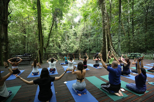 Mulu Marriott Resort & Spa Ayus Wellness retreats. – Mulu Marriott pic