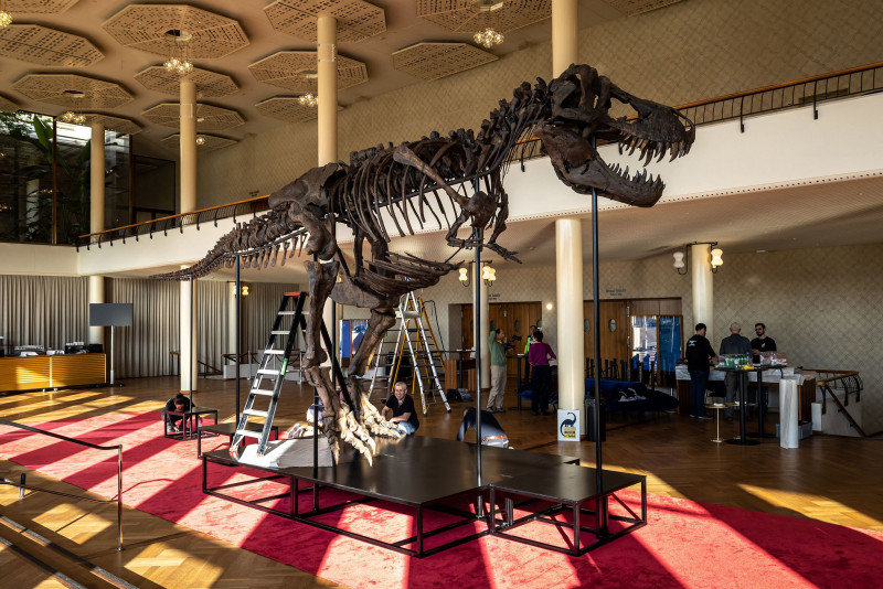 Trinity the T-Rex claws in more than US$6 million