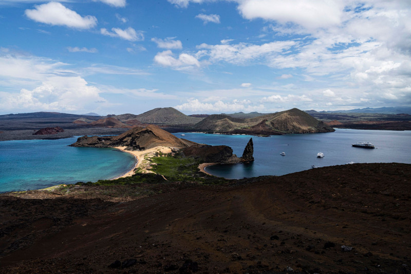 On Galapagos Islands, Darwin’s flycatcher makes a tiny comeback