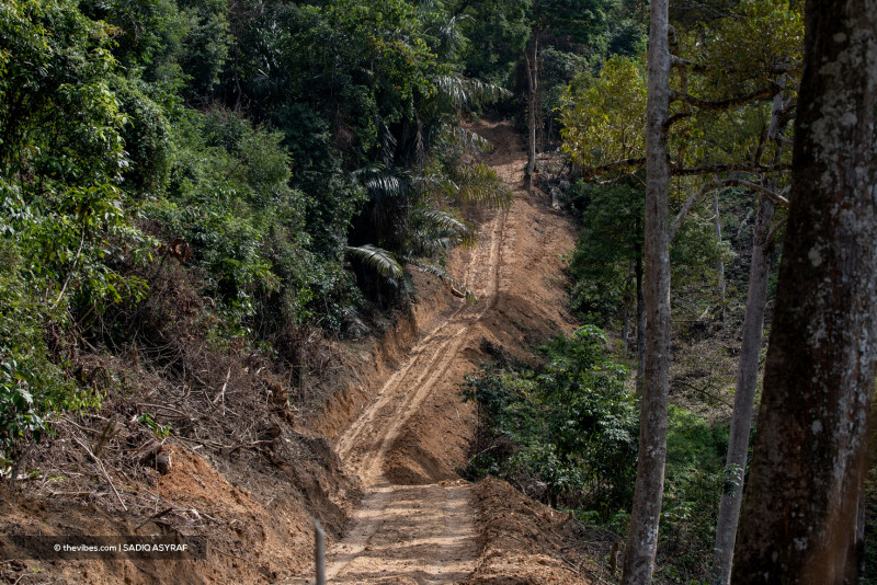 Budget 2023: state govts to get RM150 mil to preserve biodiversity