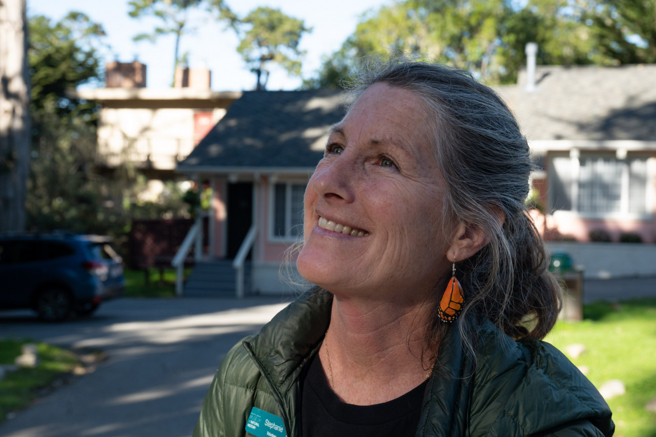 Stephanie Turcotte Edenholm, educator and naturalist, looks up at the monarch butterflies at the Pacific Grove Monarch Sanctuary in Pacific Grove, California on January 26, 2023. – AFP pic