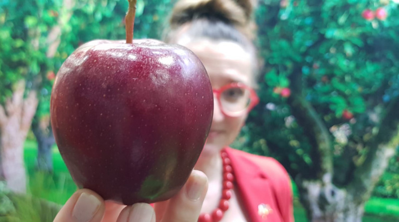 Gaik says apples and the campaign serve as an ambassador of Polish and European qualities. – Pic courtesy of Embassy of Poland