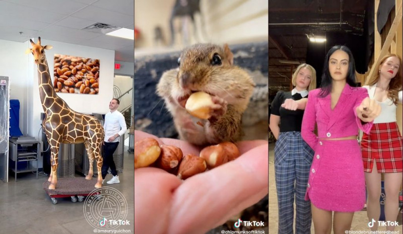 From chocolate giraffes to Rosalía’s gum: TikTok runs down its most viral videos of 2022
