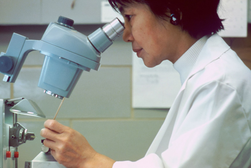 Gender parity in the authorship of scientific papers is still a long way off