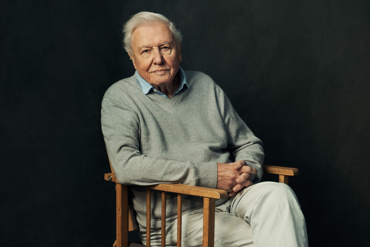 Narrated by Sir David Attenborough, Frozen Planet II brings a strong message on climate change. Attenborough narrates that the animals that inhabit frozen lands need one thing more than any other – and that is for the planet to stop warming. – BBC pic