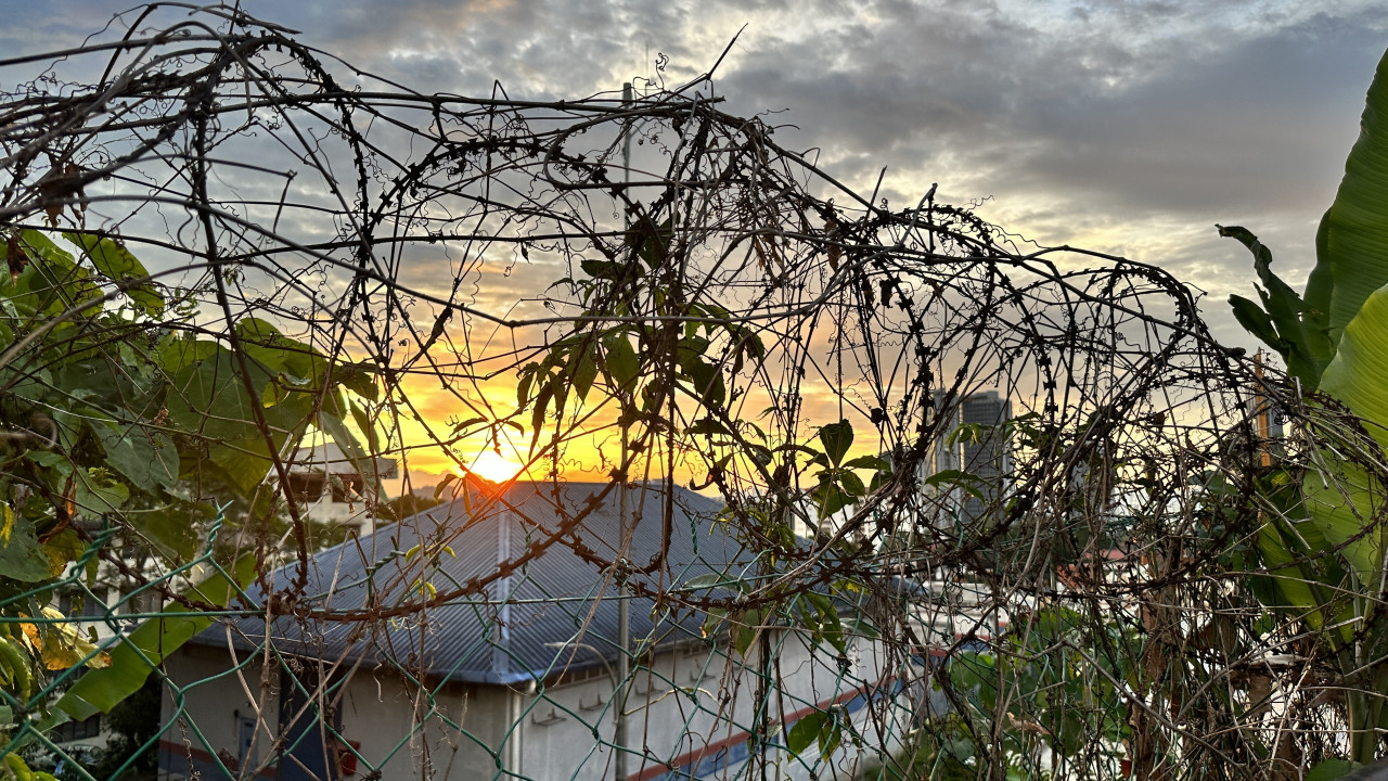 The low-light sensor for the iPhone 14 Max Pro is very sensitive and can capture some crisp sunsets (and probably sunrises). – Haikal Fernandez pic