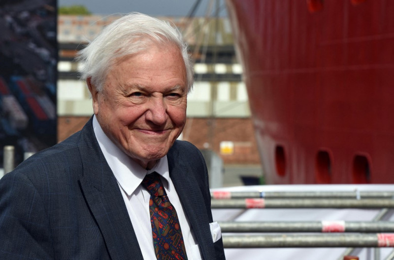 If you want to relax, listen to the voice of Sir David Attenborough