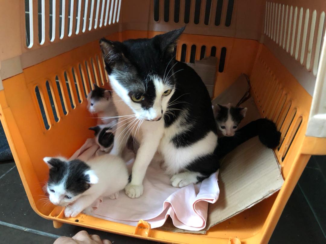 Mama Maggie was able to give birth safely in foster care. – Pic courtesy of Jacqueline Wong