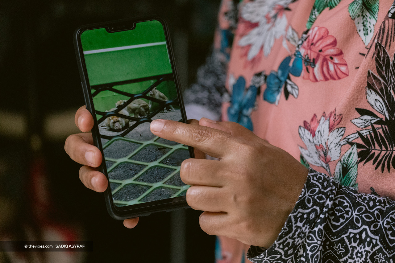 A resident shows a photo of monkeys caught in a trap installed near D’Rimba Apartment. – SADIQ ASYRAF/The Vibes pic, April 24, 2021