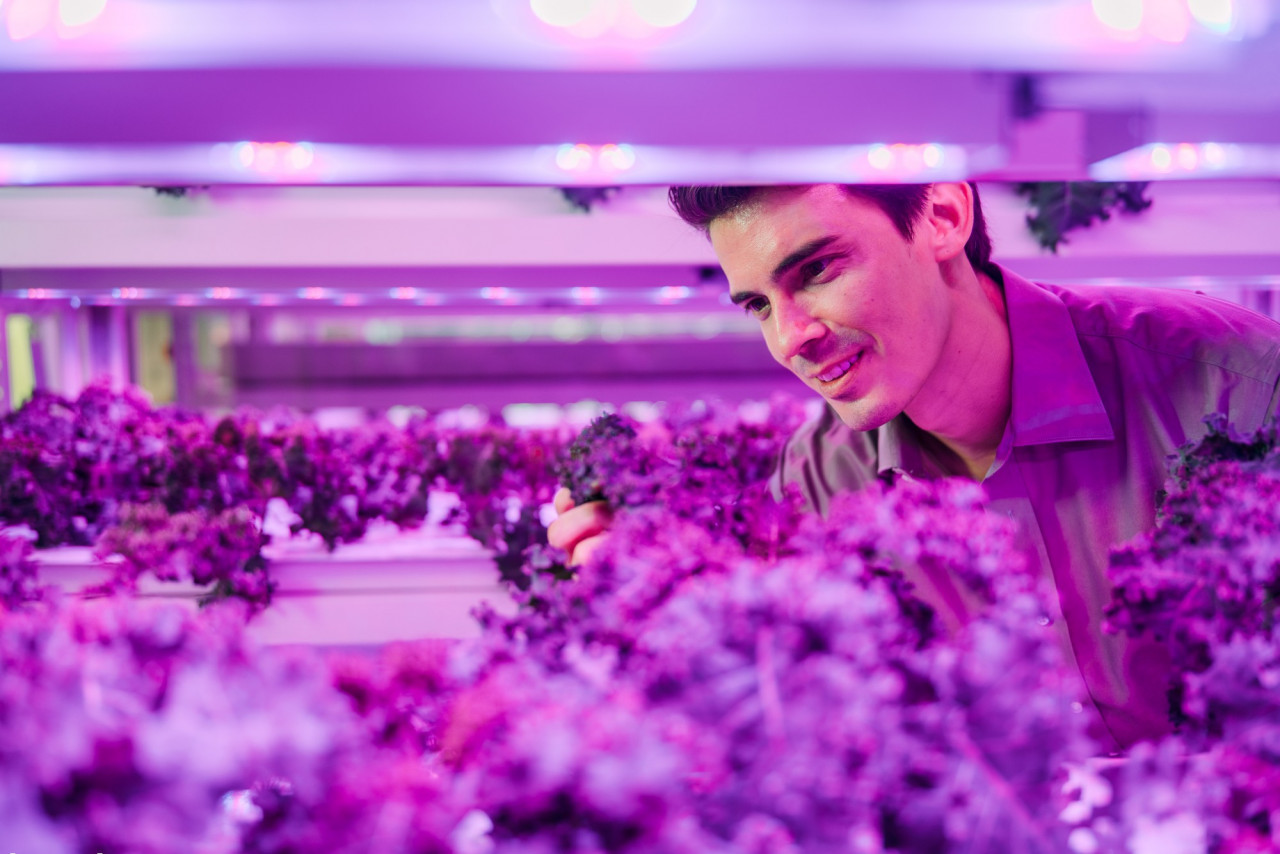 Sustenir Agriculture CEO and co-founder Benjamin Swan at the farm. – Sustenir Agriculture pic