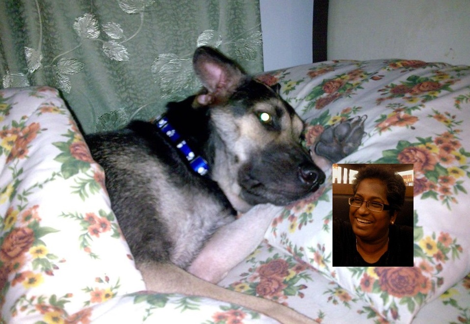 Malaysian Dogs Deserve Better founder Wani Muthiah says it is perplexing that there are people who want to live by the forest, but wish to avoid contact with wildlife. – Wani Muthiah Facebook pic, April 25, 2021