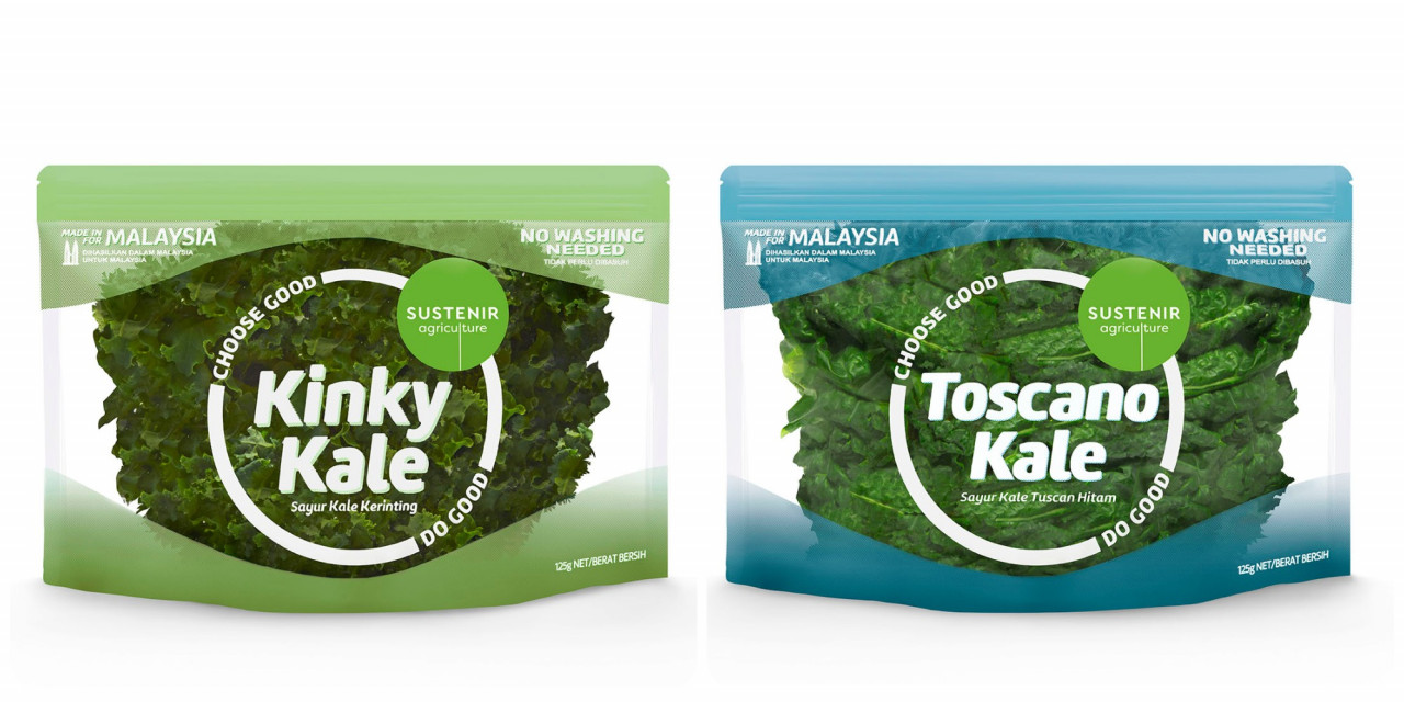 The two varieties of kale from Sustenir. – Sustenir Agriculture pix