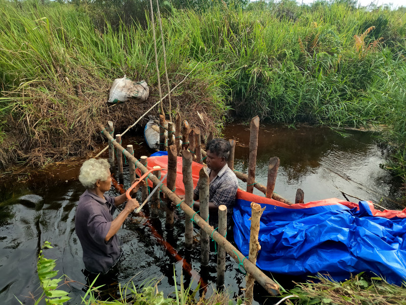 Going extra mile for Kuala Langat forest reserve’s survival