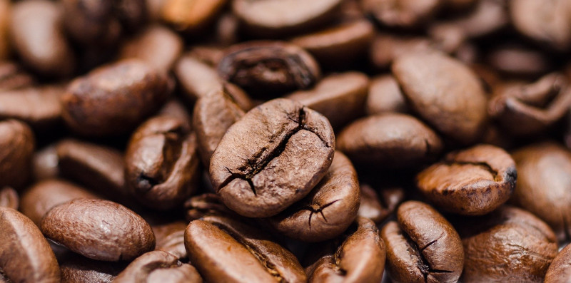 Forgotten species could future-proof coffee in a warming world