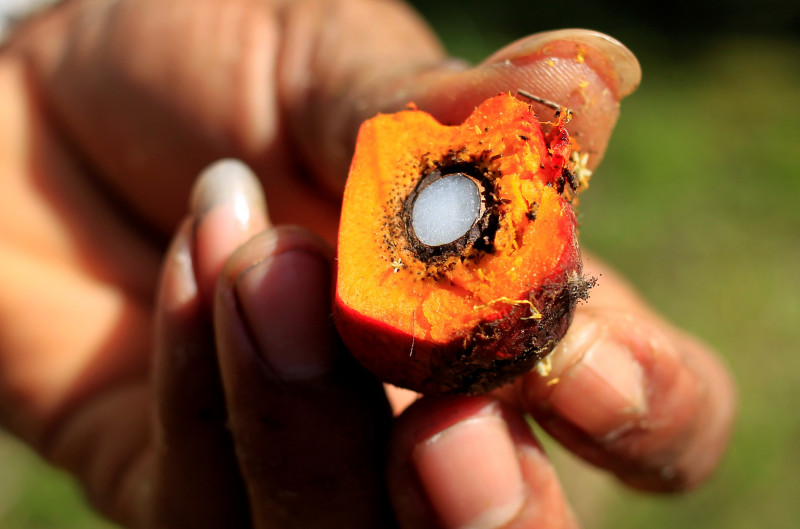 Palm oil prices to stay high in first half of 2021: THP